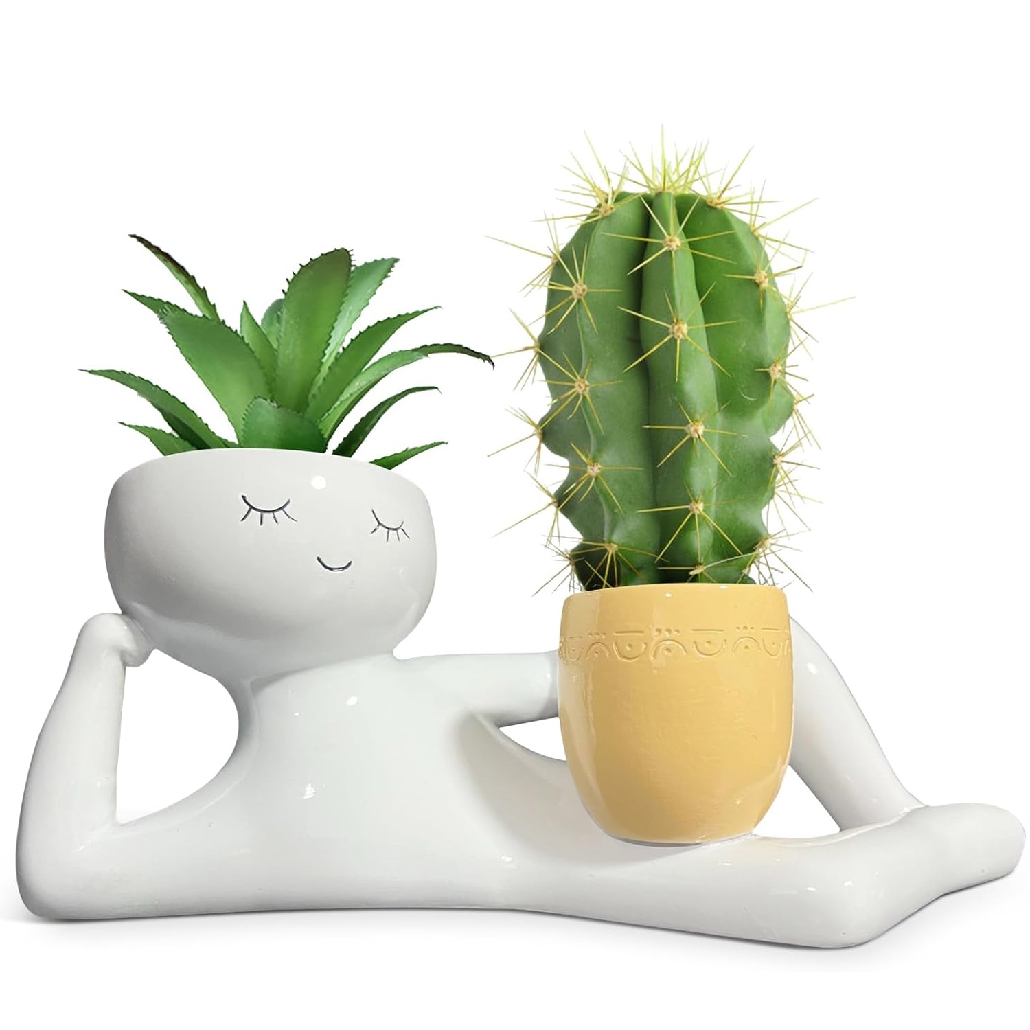Echeveria Succulent - Vaso de Plantas Divertido Lazy Little
