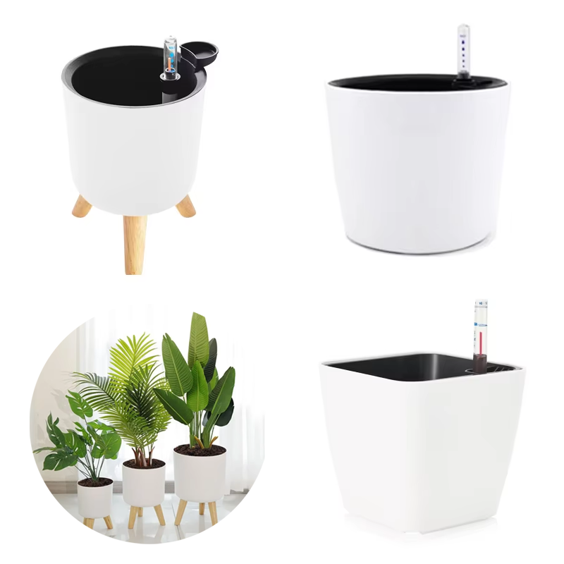 Aloe Vera Pot - Vaso de Plástico para Plantas Internas