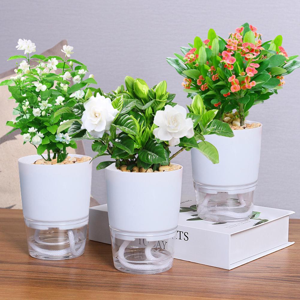 Aloe Vera Pot - Vaso de Plástico Autoirrigável para Flores