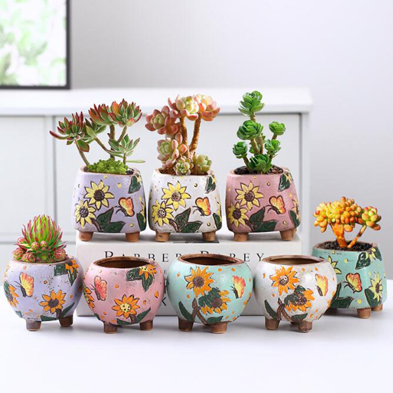 Vaso de plantas suculentas com - Echeveria Succulent avaliação e preço