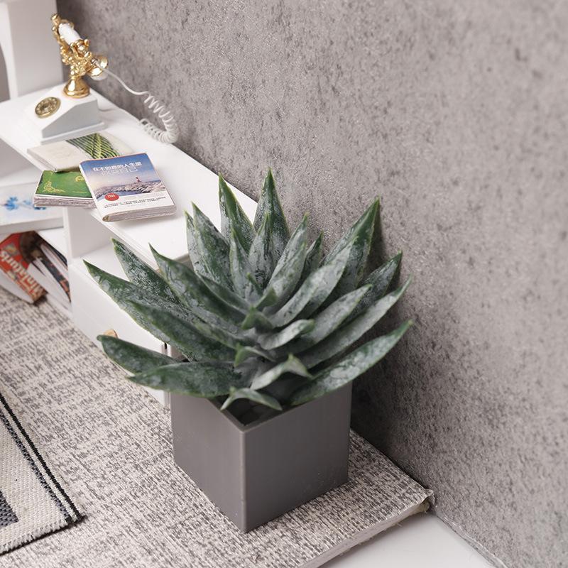 Miniatura de Planta de Aloe Ve - Aloe Vera Pot avaliação e preço