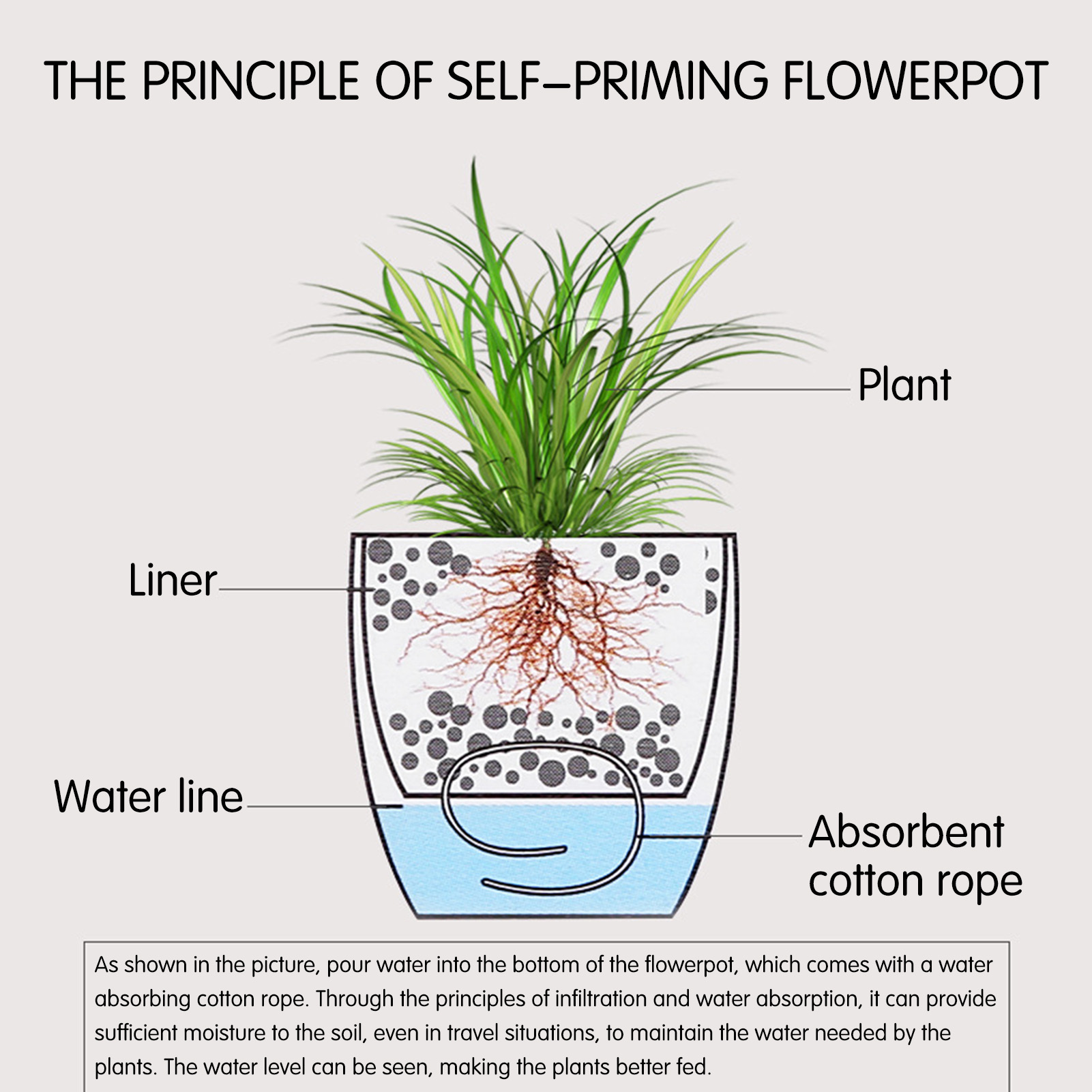Vaso de plantas de flores com  - Aloe Vera Pot avaliação e preço