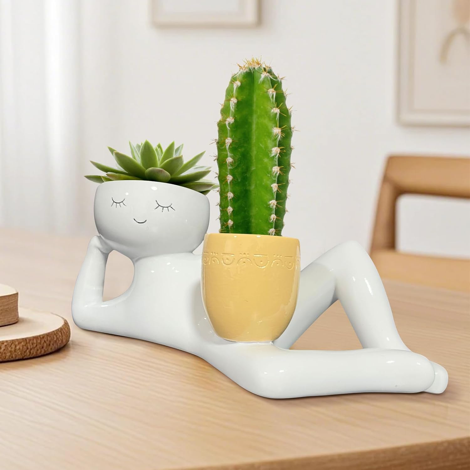 Vaso de Plantas Divertido Lazy - Echeveria Succulent avaliação e preço