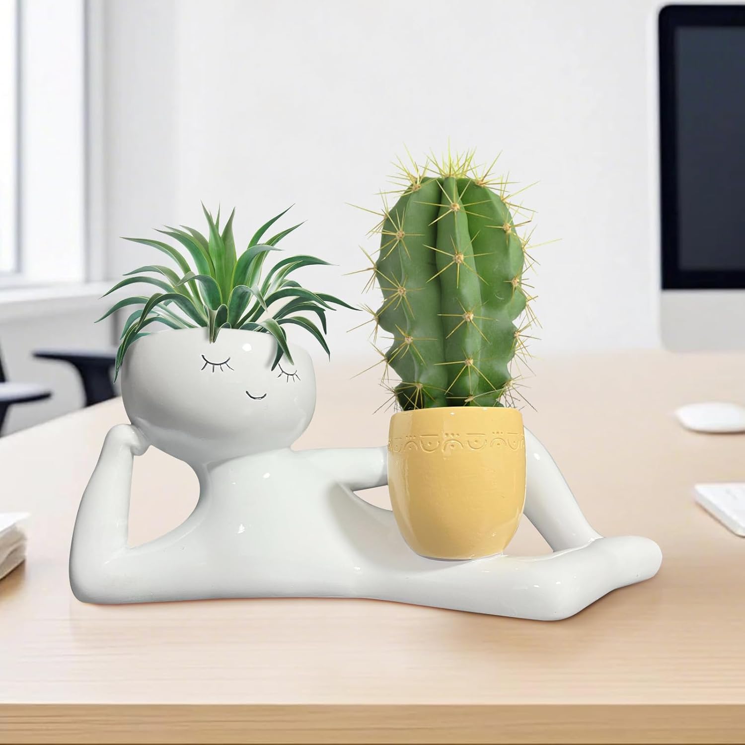 Vaso de Plantas Divertido Lazy - Echeveria Succulent avaliação e preço
