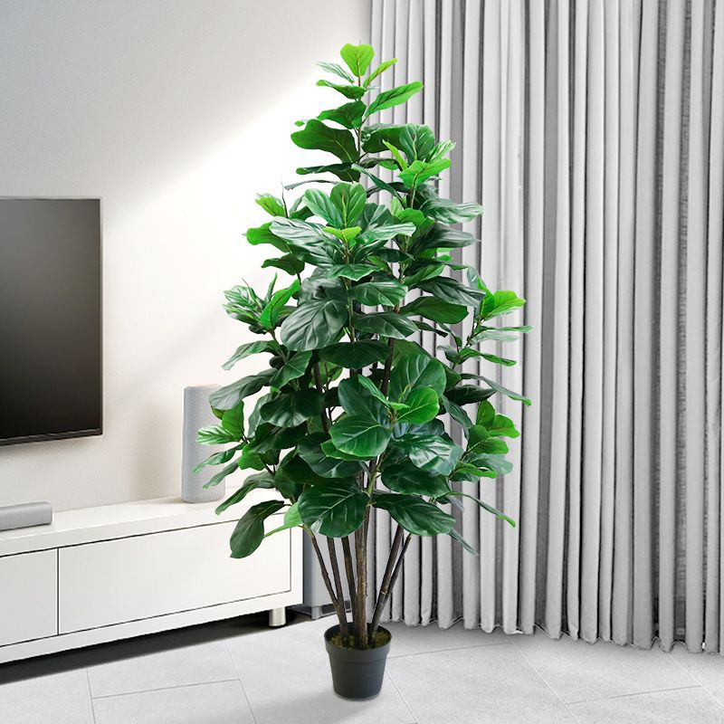 Planta Artificial Ficus Lyrata - Ficus Lyrata Tree avaliação e preço