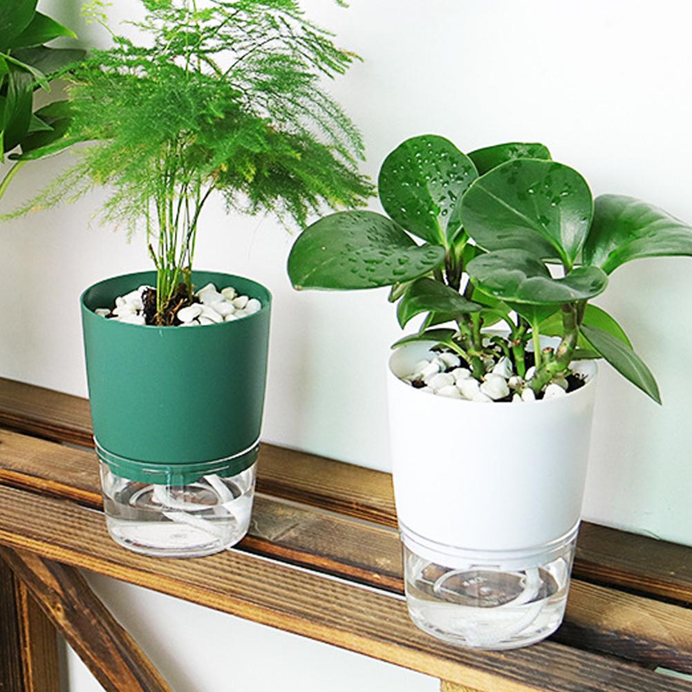 Vaso de Plástico Autoirrigável - Aloe Vera Pot avaliação e preço