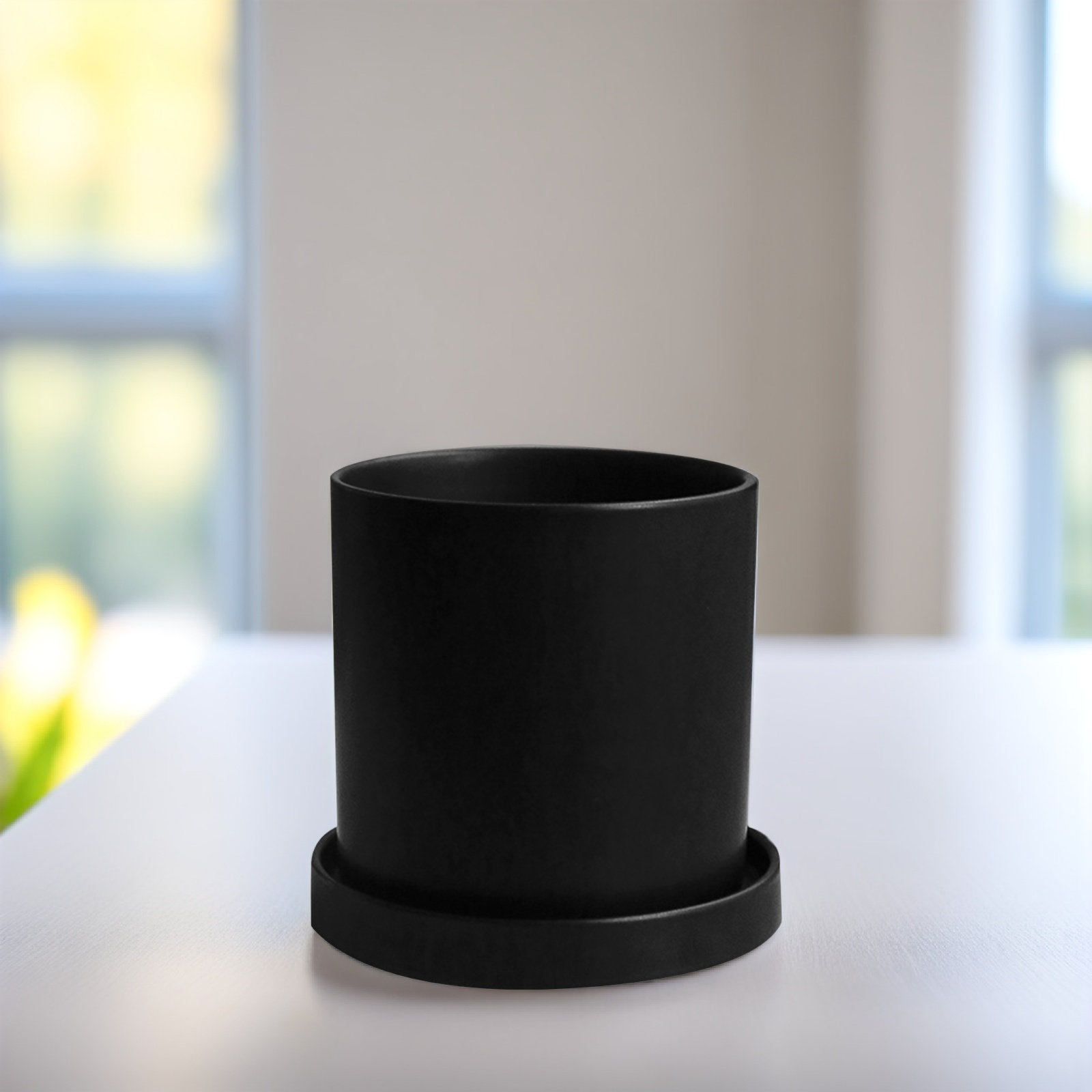 Conjunto de 1 Vaso de Cerâmica - Aloe Vera Pot avaliação e preço